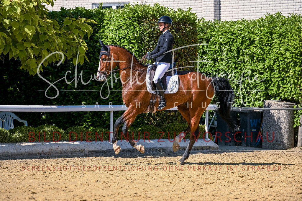 Schugtsche-Aluta25-50.Dressurpferdeprf.L-150 | Schugtsche Fotografie - Realisiert mit Pictrs.com