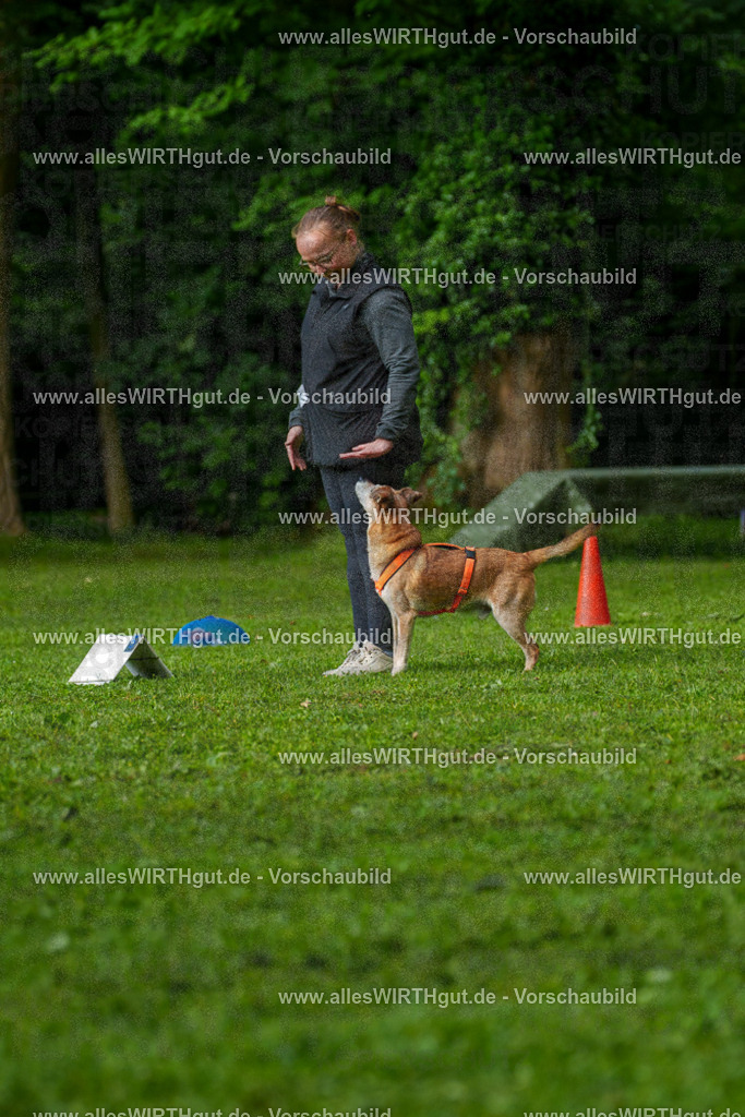 @allesWIRTHgut_Tierfotografie - www.allesWIRTHgut.de - 7R502034 | Professionelle Tierfotografie in Mönchengladbach von Daniel Wirth (allesWIRTHgut). Liebevolle & natürliche Bilder von Hunden & Katzen für unvergessliche Erinnerungen.