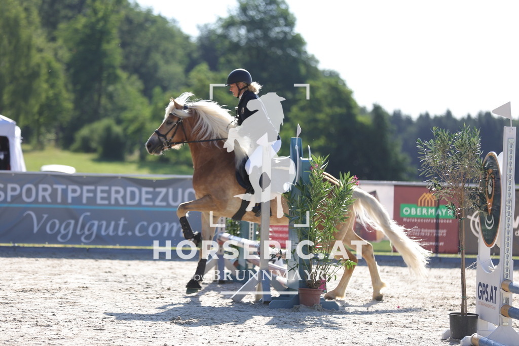 0P6A3432 | Willkommen bei Brunnmayr - Design & Fotografie – Ihrem Spezialisten für Reitturniere und Pferdeveranstaltungen in Oberösterreich, Salzburg und Bayern! Seit über 17 Jahren sind wir leidenschaftlich dabei.
