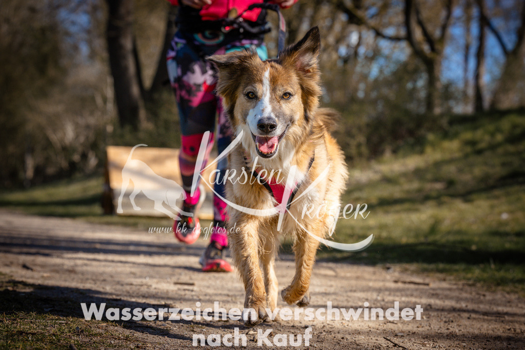 0957_ZZ96910 | kk-dogfotos