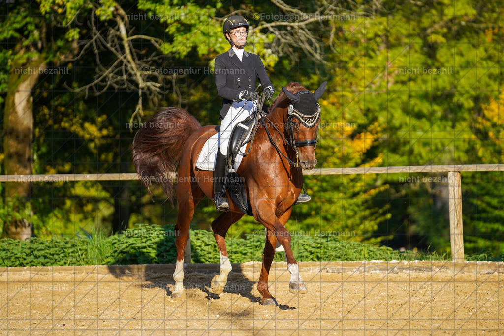 20221007-FAH00336 | Diessen am Ammersee, 2022, Dressur- und Springturnier, Reitsportbilder, Turnierfotografen Bayern, Pferdefotografen, Fotoagentur Herrmann, Turnierbilder