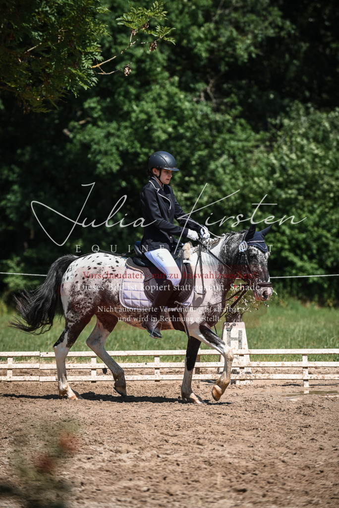 DSC_3218 | Pferde- und Turnierfotografie in Westsachsen. Pferdeportraits, Auftragszeichnungen und intuitive Kunst.