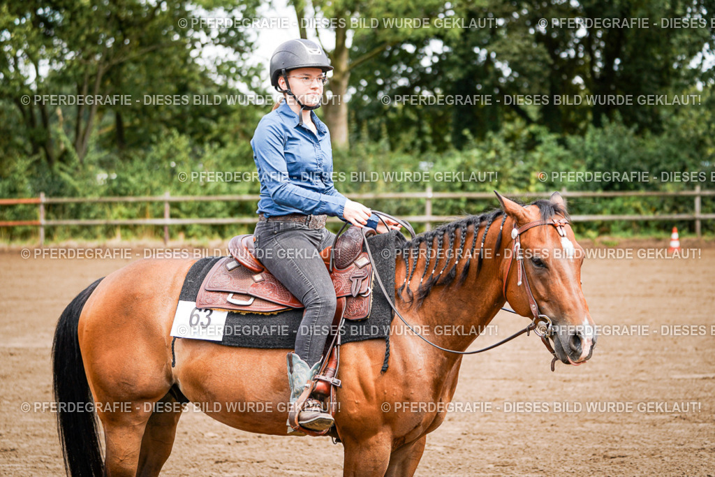 DSC05758 | Pferdegrafie