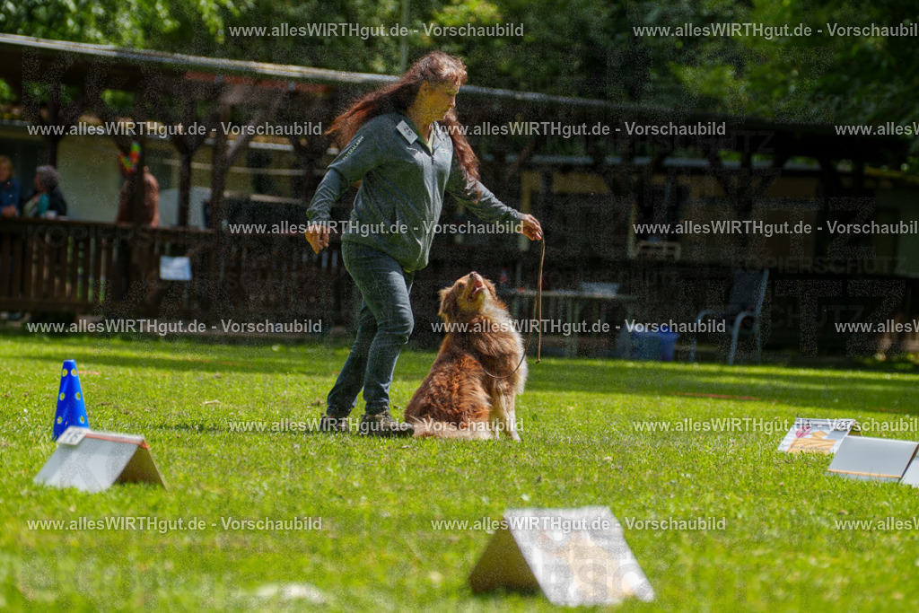 @allesWIRTHgut_Tierfotografie - www.allesWIRTHgut.de - 7R500839 | Professionelle Tierfotografie in Mönchengladbach von Daniel Wirth (allesWIRTHgut). Liebevolle & natürliche Bilder von Hunden & Katzen für unvergessliche Erinnerungen.