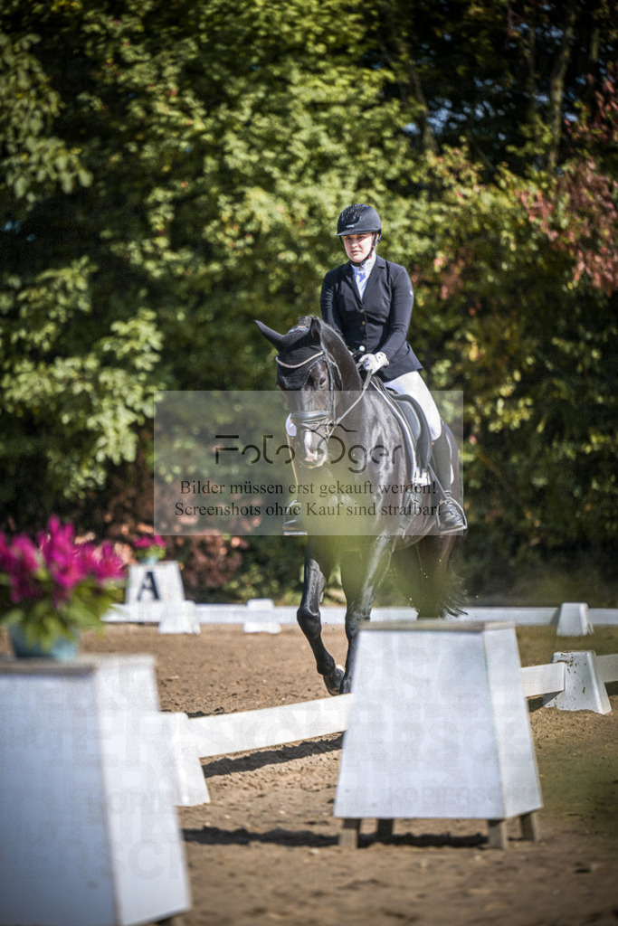 DOS_3564 | Entdecke hochwertige Reitturnierfotos von Foto Oger. Professionell, emotional und authentisch – jetzt Lieblingsmomente im Shop bestellen.Deutschlandweite Turnierfotografie. - Realisiert mit Pictrs.com