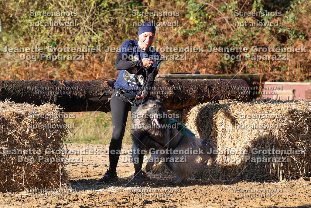 Dog Paparazzi - Strongdog 10-25-1085 | Dog Paparazzi Jeanette Grottendiek Fotografie & Videografie - Realisiert mit Pictrs.com