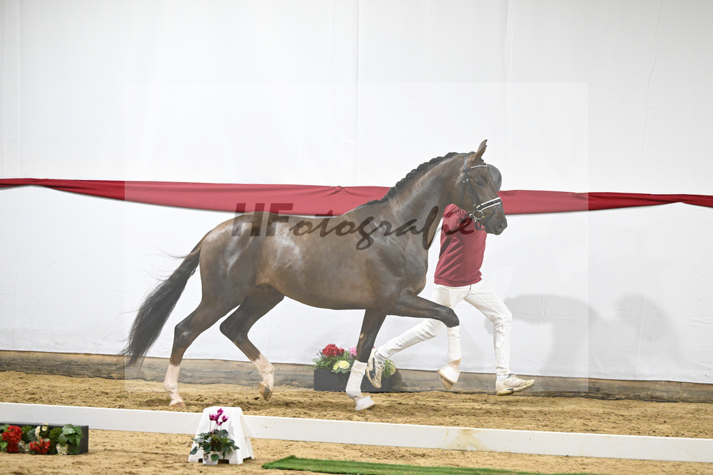 Kat-Nr. 66 v. Revolution_Reuner-Krebs_63221919 | hf-fotografie - Realizzato con Pictrs.com