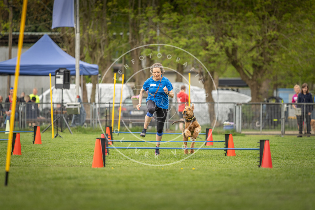 Pfotenfotografie_DV3A8378 | Hundefotografie, Tierfotograf, Pfotenfotografie, Fotoshooting Hund, Hunde Portrait, Hundesport, Hundeportraits, Heideshooting, Hunde, Sportfotograf, Hundefotograf, Turnierhundsport, THS,  - Realisiert mit Pictrs.com