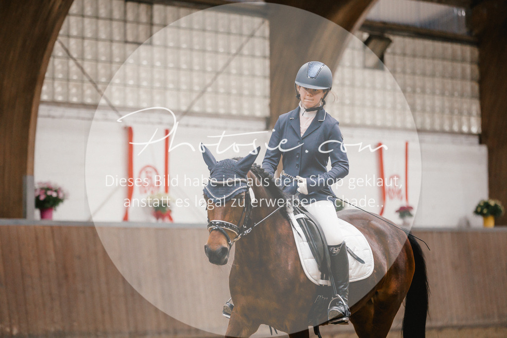 3I6A7909 | Stimmungsvolle Portraits und Reitsportfotografie im Ruhrgebiet und im Münsterland.

Pferdefotografie, Hundefotografie, Tierfotografie, Reportagen, Portraits von Tier und Mensch, Turnierfotografie in Bochum, Recklinghausen, Marl, Haltern am See, Dülmen.. - Realisiert mit Pictrs.com