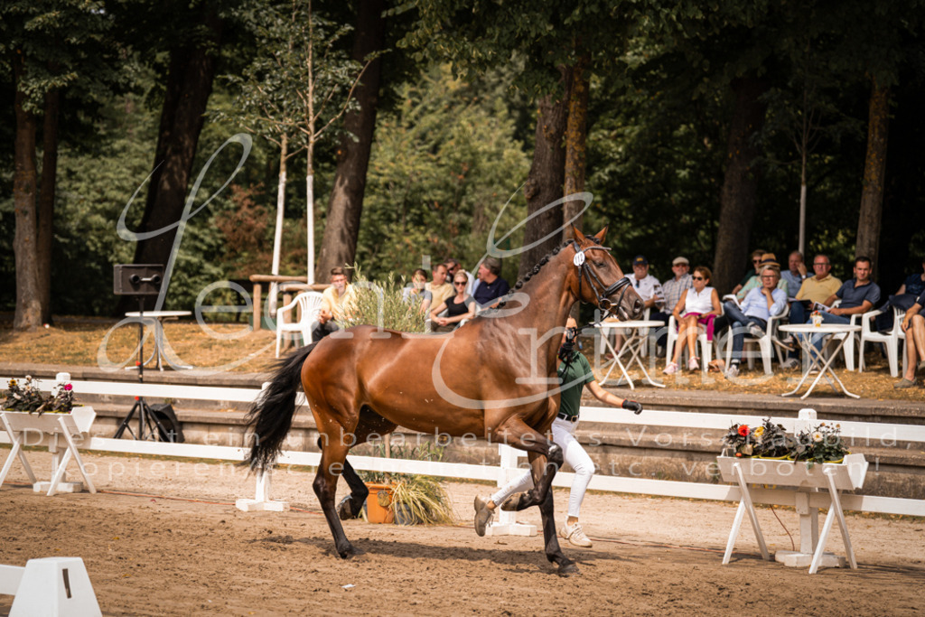 3.Fr00116 | Leoni Ertmer Photography - Realisiert mit Pictrs.com