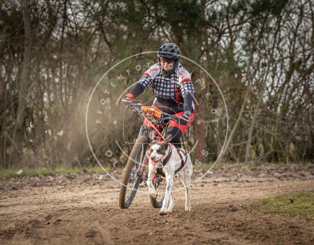 Pfotenfotografie_DV3A8870 | Hundefotografie, Tierfotograf, Pfotenfotografie, Fotoshooting Hund, Hunde Portrait, Hundesport, Hundeportraits, Heideshooting, Hunde, Sportfotograf, Hundefotograf, Turnierhundsport, THS,  - Realisiert mit Pictrs.com