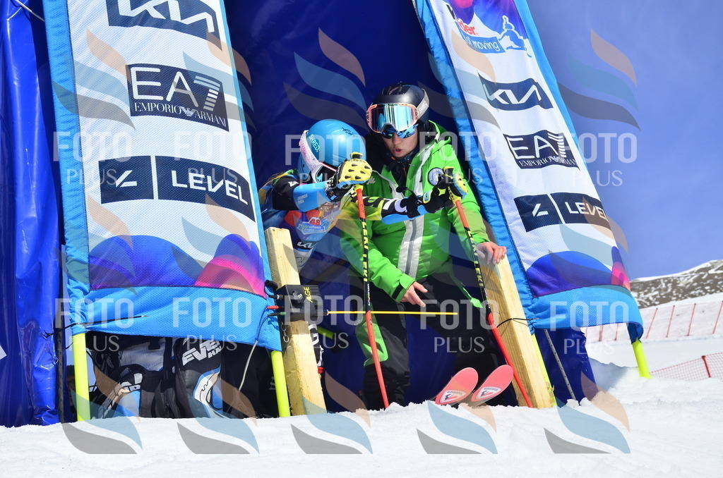 _ELE0599 | holidayphoto