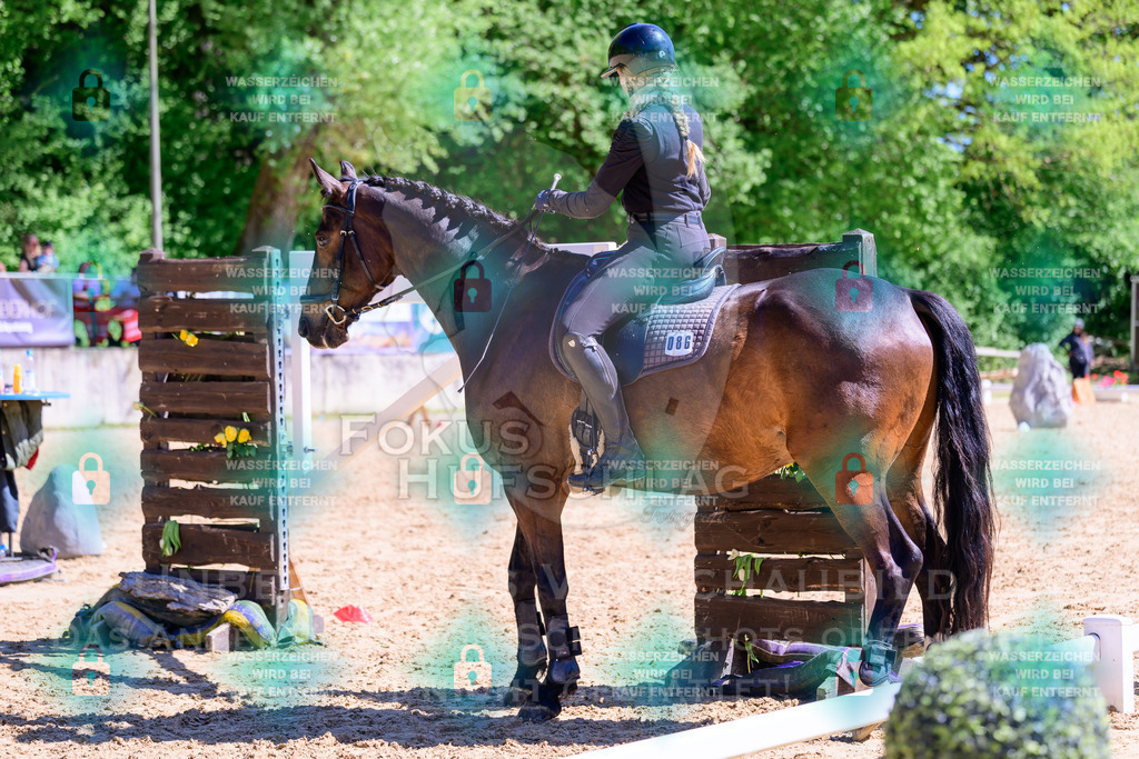 01052026-Giesenbach-02-Stiltrail-0439 | Fokus Hufschlag Fotografie - Realisiert mit Pictrs.com