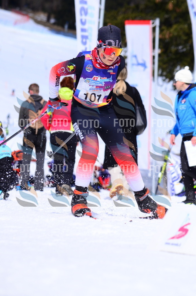 DAV_1370 | holidayphoto