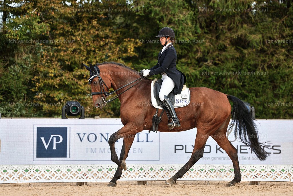 13-072-S___ -StoibPH-6992 | working equitationturnier fotograf videograf stoibphotography marixx film working equitation deutschland reitsport turnierfotografie eventfotografie equestrian events