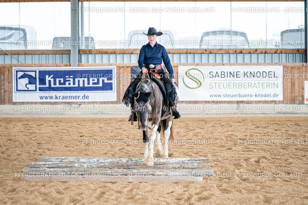 DSC02780 | Pferdegrafie