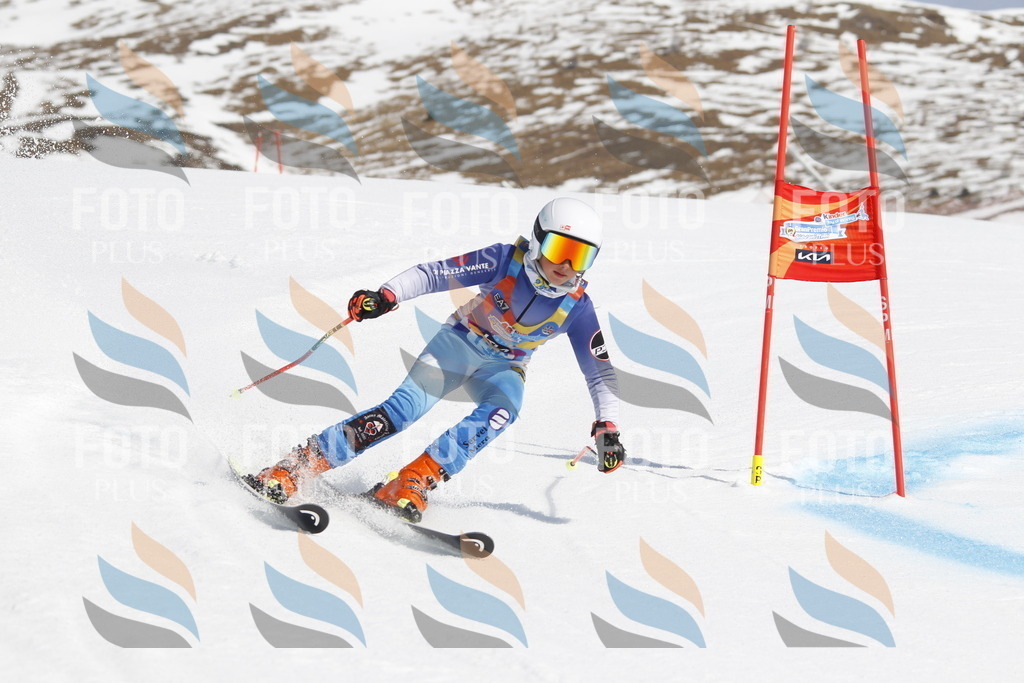 _U3G0980 | holidayphoto