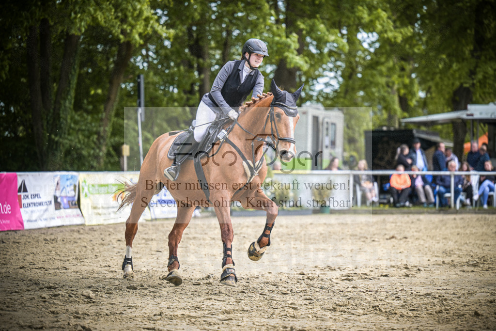 DOS_2457 | Entdecke hochwertige Reitturnierfotos von Foto Oger. Professionell, emotional und authentisch – jetzt Lieblingsmomente im Shop bestellen.Deutschlandweite Turnierfotografie. - Realisiert mit Pictrs.com