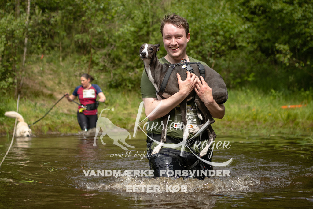 1121DKK994889 | kk-dogfotos