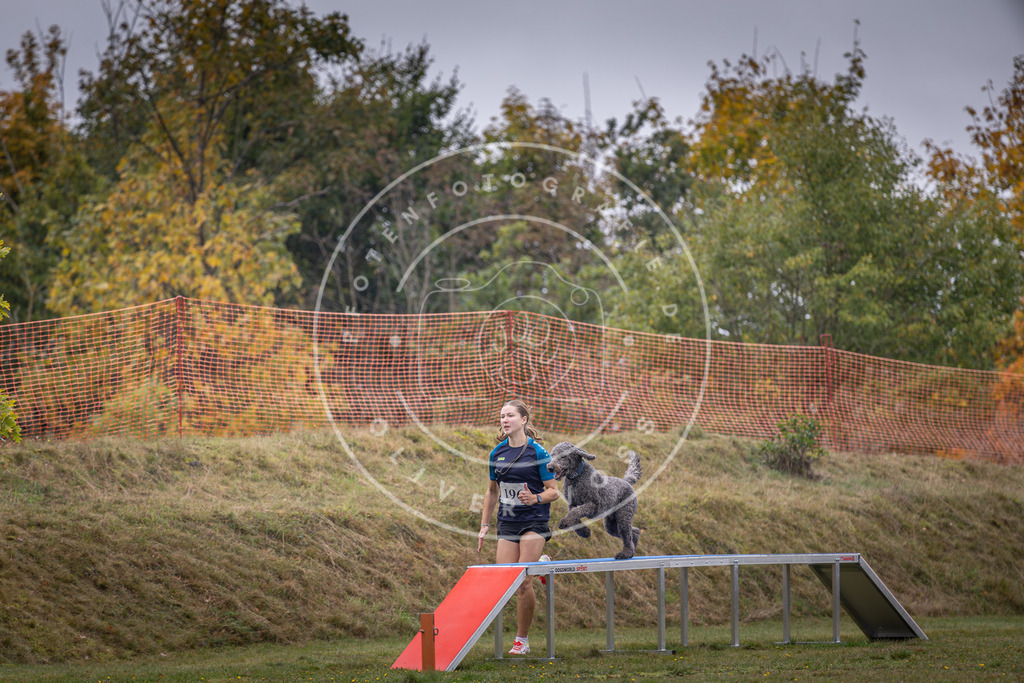 Pfotenfotografie_DV3A1389 | Hundefotografie, Tierfotograf, Pfotenfotografie, Fotoshooting Hund, Hunde Portrait, Hundesport, Hundeportraits, Heideshooting, Hunde, Sportfotograf, Hundefotograf, Turnierhundsport, THS,  - Realisiert mit Pictrs.com