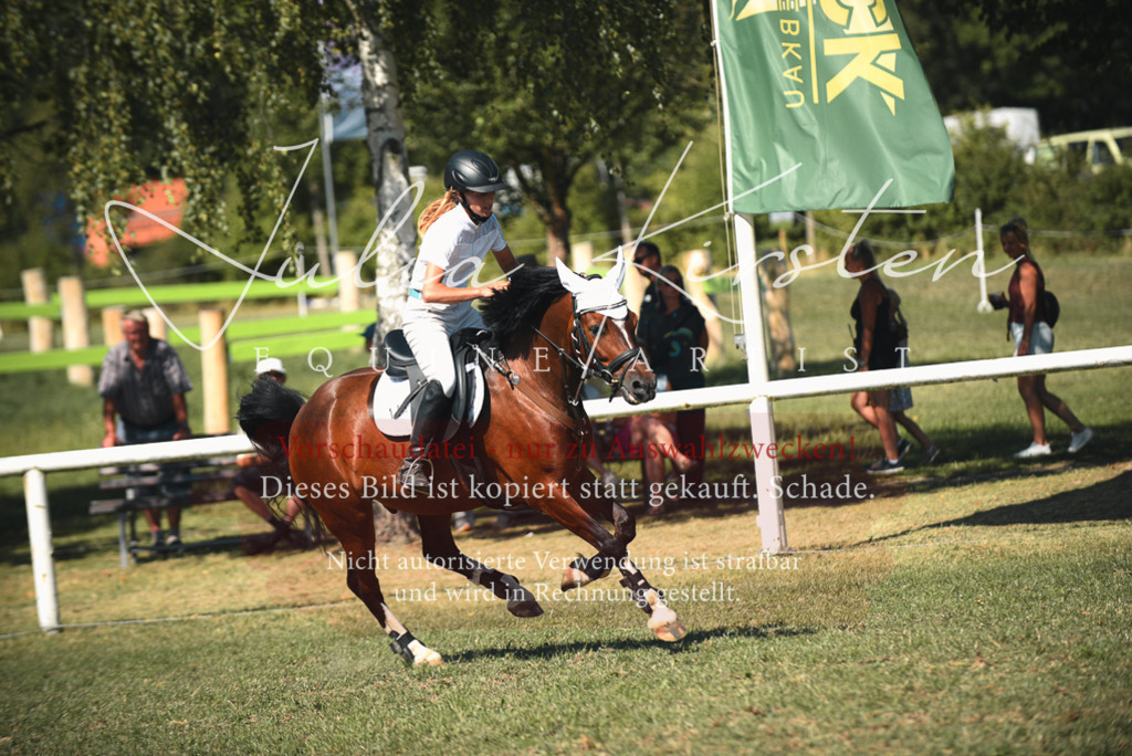 DSC_7280 | Pferde- und Turnierfotografie in Westsachsen. Pferdeportraits, Auftragszeichnungen und intuitive Kunst.
