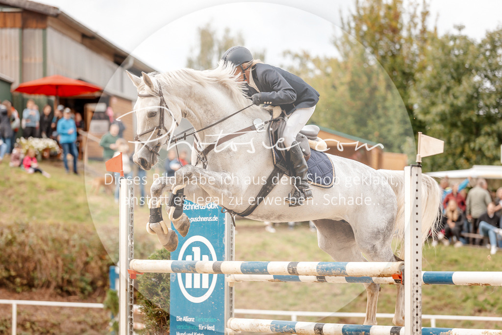 3I6A8097 | Stimmungsvolle Portraits und Reitsportfotografie im Ruhrgebiet und im Münsterland.

Pferdefotografie, Hundefotografie, Tierfotografie, Reportagen, Portraits von Tier und Mensch, Turnierfotografie in Bochum, Recklinghausen, Marl, Haltern am See, Dülmen.. - Realisiert mit Pictrs.com