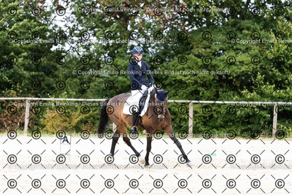 CL5A3113 | Emilia Reinking Fotografie - Realisiert mit Pictrs.com