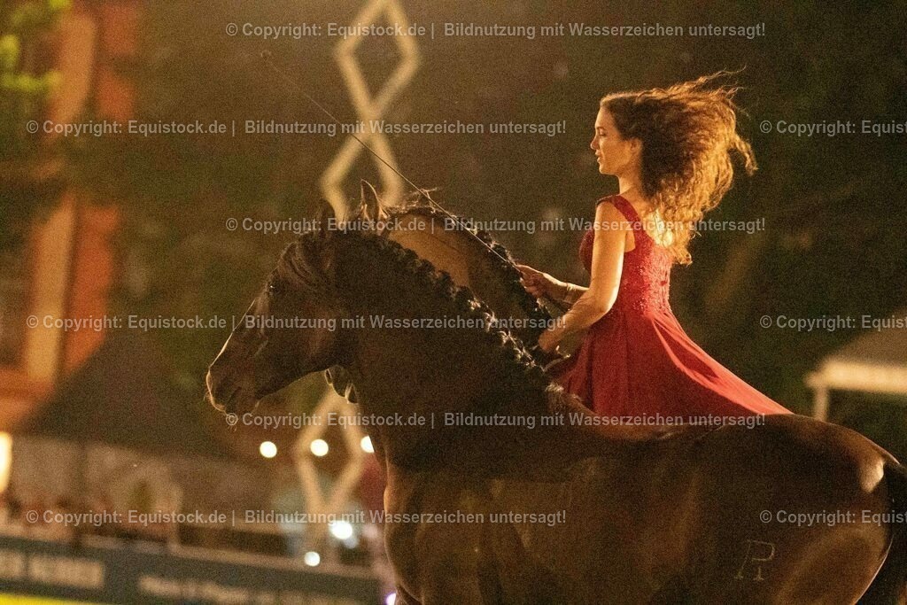 20230526_Pferdenacht_1412 | equistock
