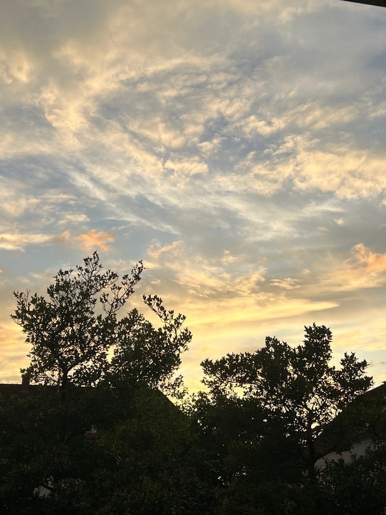 IMG_8329 | ace - Realisiert mit Pictrs.com