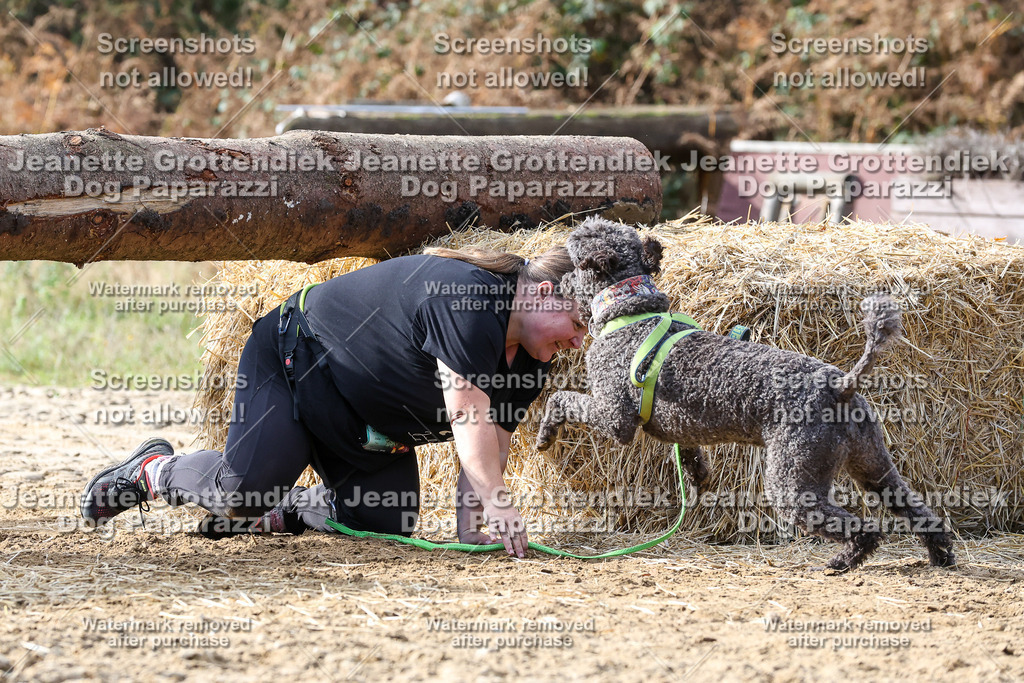 Dog Paparazzi - Strongdog 10-25-5417 | Dog Paparazzi Jeanette Grottendiek Fotografie & Videografie - Realisiert mit Pictrs.com