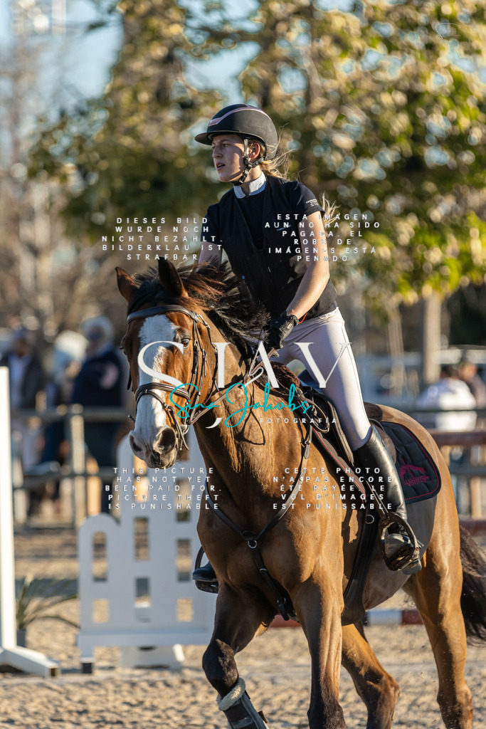 IMG_2698 | s-jay-photography - Realisiert mit Pictrs.com