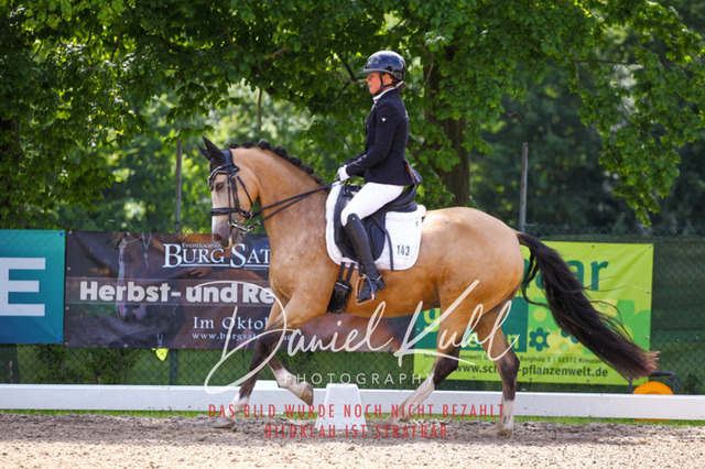 DKP40935 | Turnierfotos kaufen im Webshop von Daniel Kuhl Photography – entdecke professionelle Reitsportfotos aus Turnieren & Events. Hochwertige Turnierbilder online bestellen & sichern. Jetzt Fotos von Reitsportturnieren kaufen!