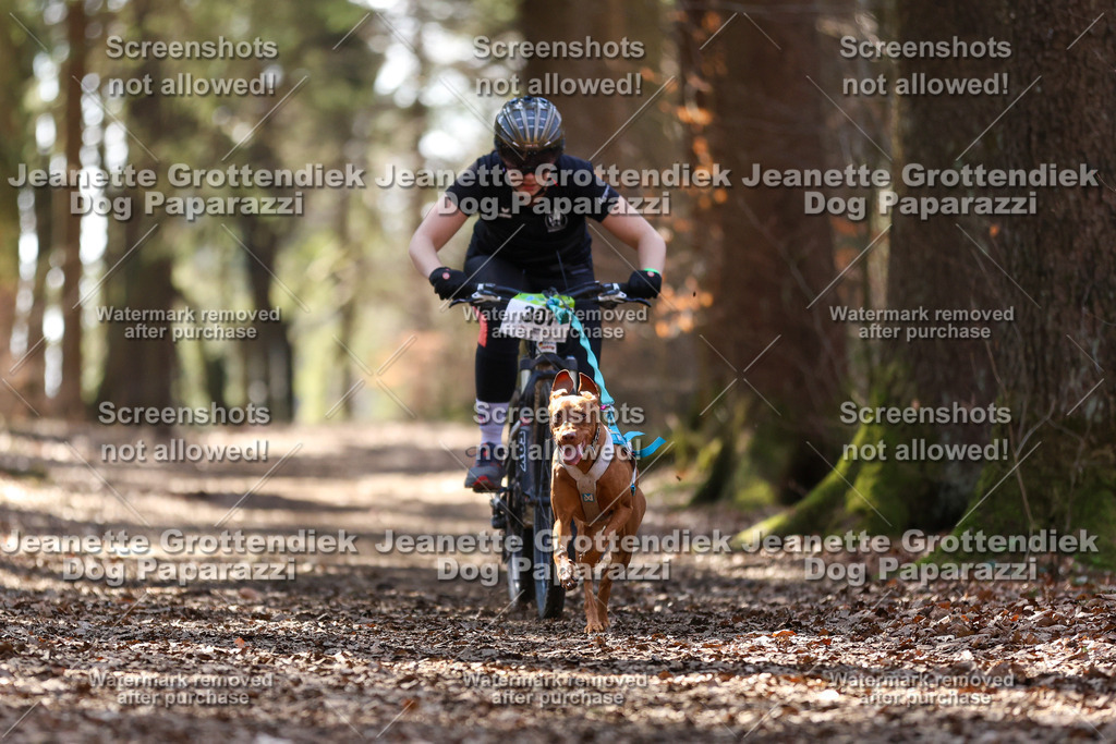 Dog Paparazzi - VCC26-1396 | Dog Paparazzi Jeanette Grottendiek Fotografie & Videografie - Realisiert mit Pictrs.com