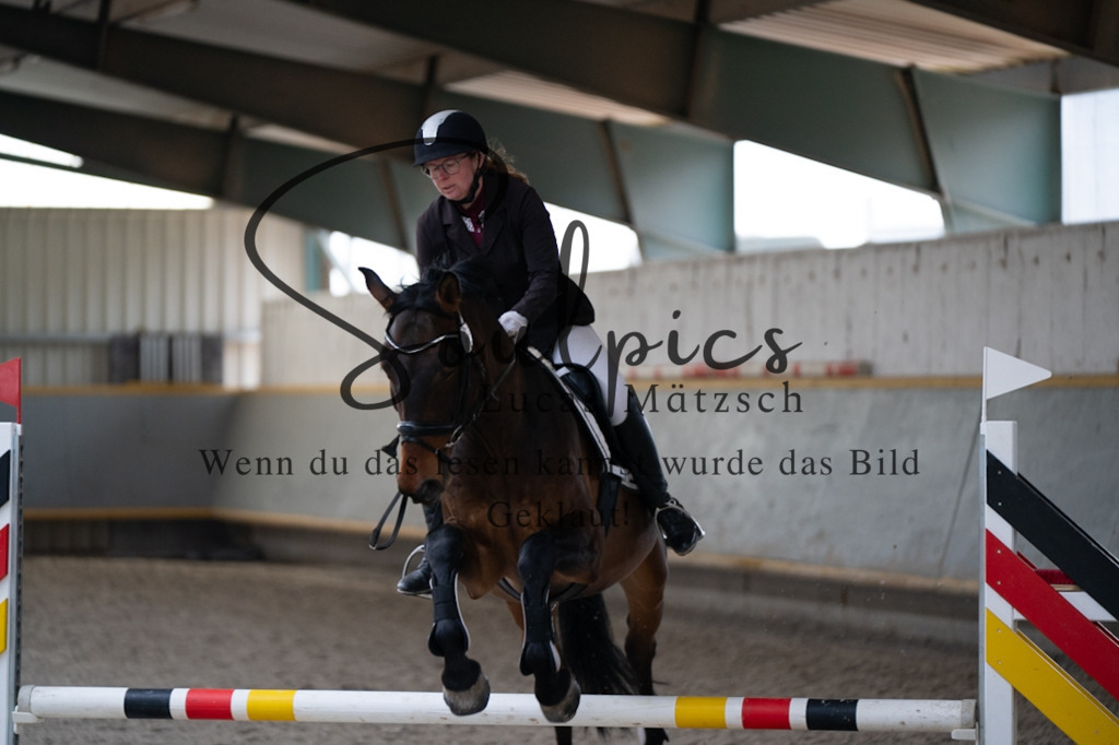 A7V07855 | Pferdefotograf