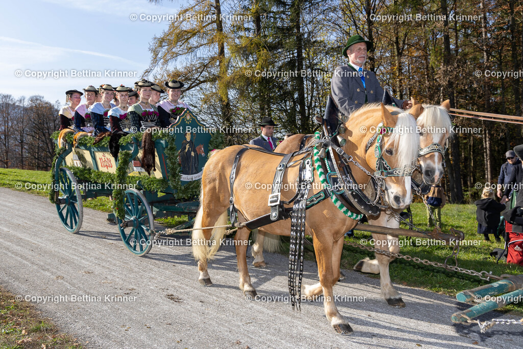 LBT24-1398 | foto-bettina-krinner - Realisiert mit Pictrs.com