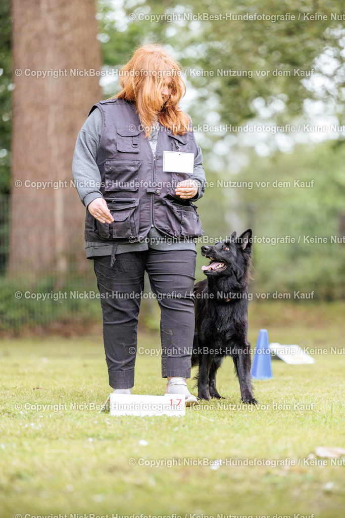 RO-Blumenthal-2026-Nickbest-Hundefotografie-3342 | Dein Hund! Dein Moment! Deine Erinnerungen! Hundefotografie in Bremen Blumenthal. Ich fange die besonderen Momente deines Vierbeiners ein – ob Indoor mit Blitzanlage oder in der freien Natur. Sicher dir dein Moment und dein Termin für eure Erinnerungen.
