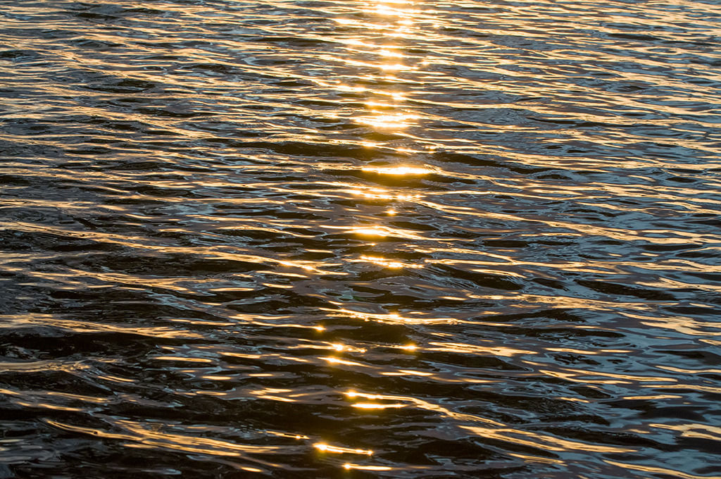 d_2009_09_0172 | Ausdrucksstarke Naturfotografien | Fotokunst Wandbilder zur Raumgestaltung für Zuhause | Praxis und Büro| Hotels und Wellness | Kanzlei und Repräsentanz. Hochwertig, individuell, flexibel. - Realisiert mit Pictrs.com