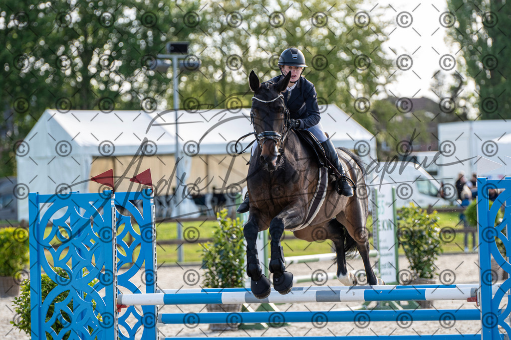 KPT_4446 | andre_photographic