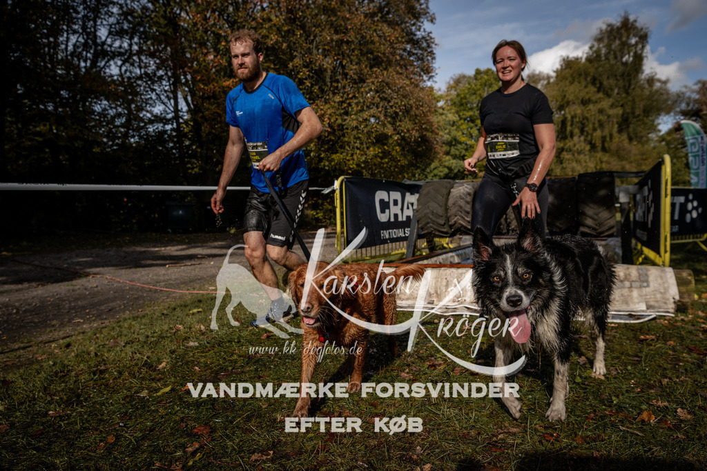 1303_ZZ91785 | kk-dogfotos