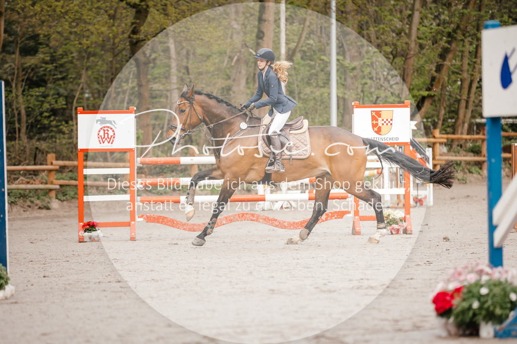 3I6A3154 | Stimmungsvolle Portraits und Reitsportfotografie im Ruhrgebiet und im Münsterland.

Pferdefotografie, Hundefotografie, Tierfotografie, Reportagen, Portraits von Tier und Mensch, Turnierfotografie in Bochum, Recklinghausen, Marl, Haltern am See, Dülmen.. - Realisiert mit Pictrs.com
