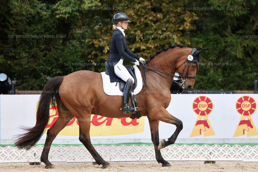 07-189-DRESSUR  S___  -StoibPH-5050 | working equitationturnier fotograf videograf stoibphotography marixx film working equitation deutschland reitsport turnierfotografie eventfotografie equestrian events