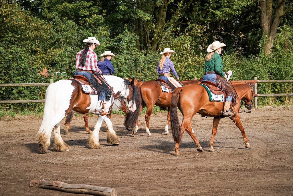 DSC00459 | Pferdegrafie