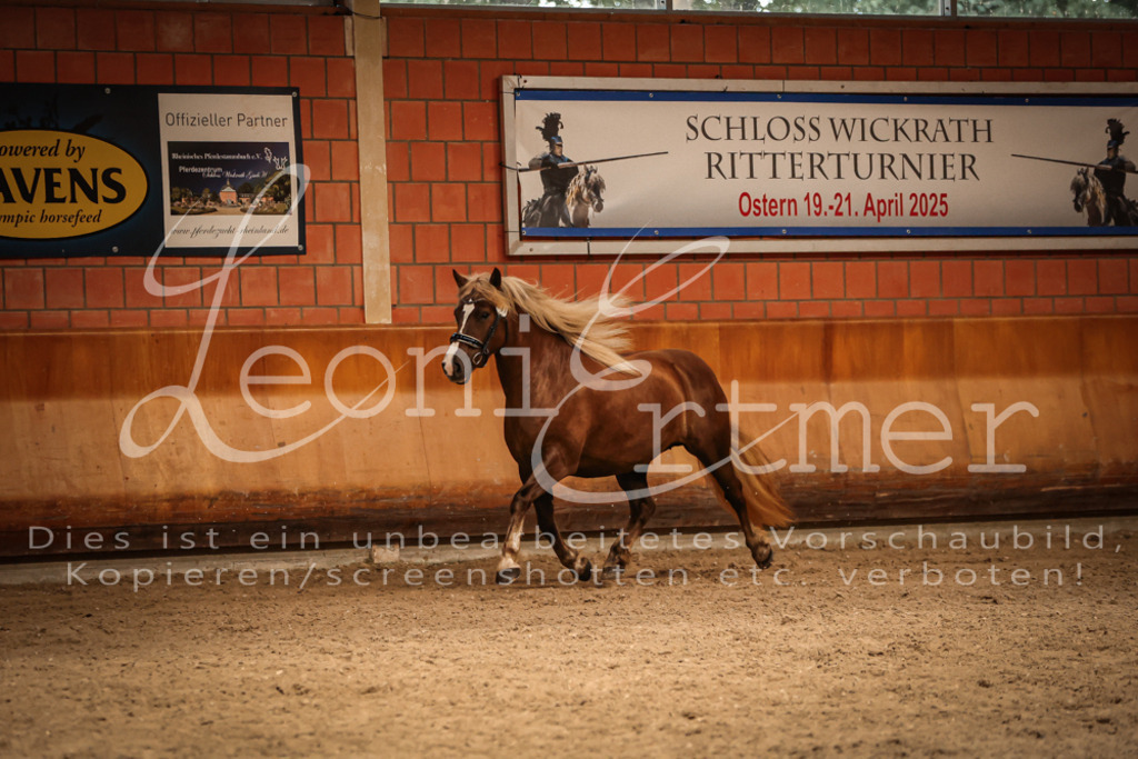 SaFL00434 | Leoni Ertmer Photography - Realisiert mit Pictrs.com