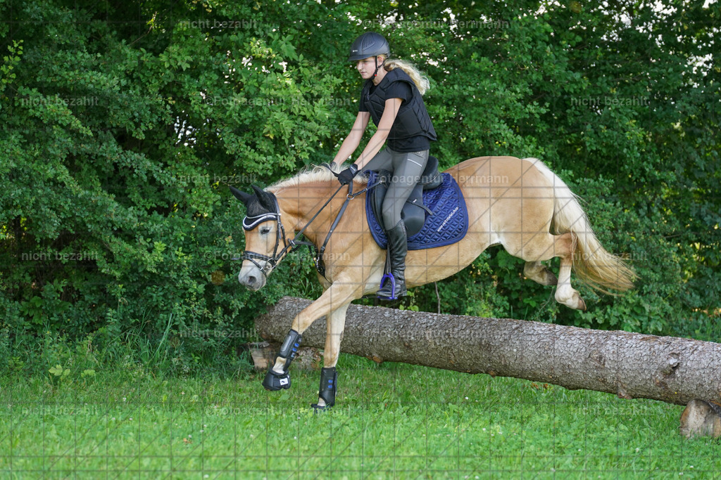 20240622-FAH08101 | Turnierfotografen Bayern, Reitsportbilder aus dem Geländekurs mit Felix Etzel auf dem Gut Waitzacker 2024