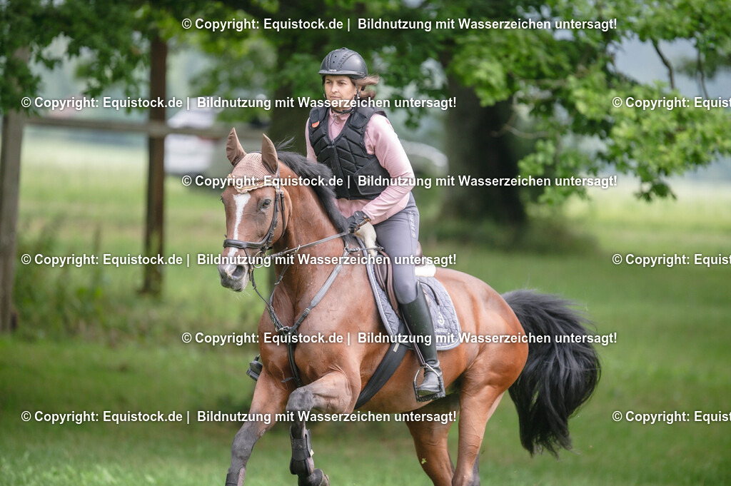 20250726_Vielseitigkeitslehrgang-Marbach_0183 | Foto: Thomas Hartig