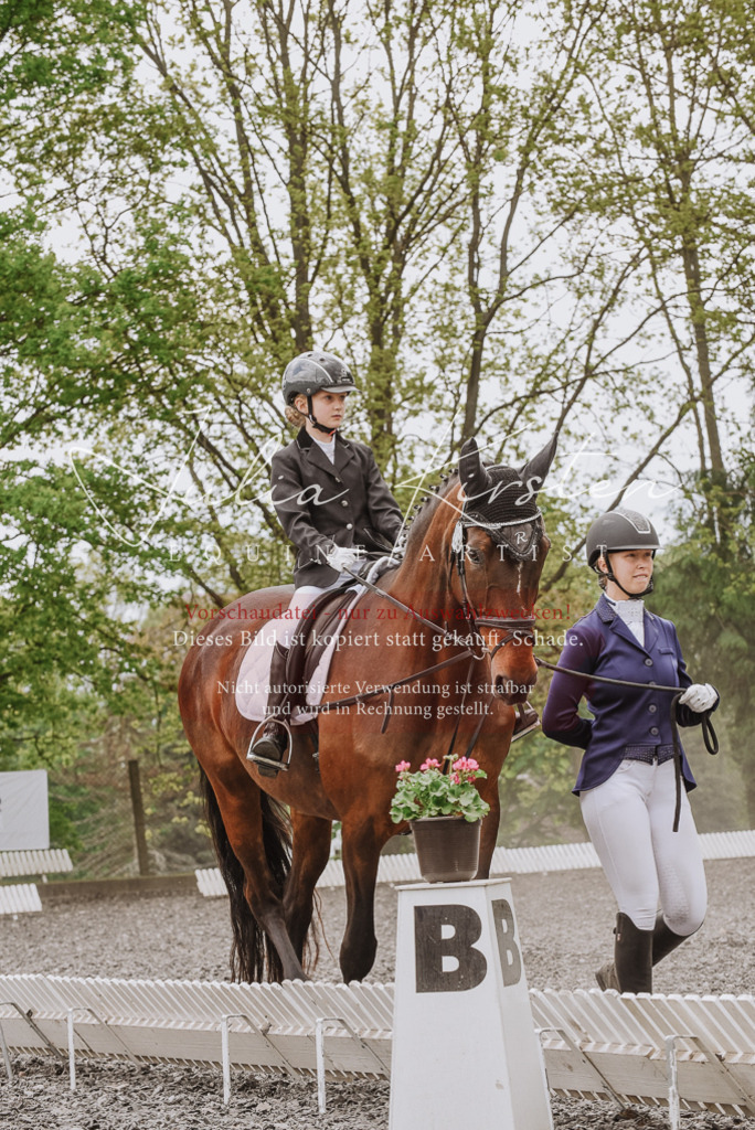 20230514_JK-Röhrsdorf-25-015 | Pferde- und Turnierfotografie in Westsachsen. Pferdeportraits, Auftragszeichnungen und intuitive Kunst.