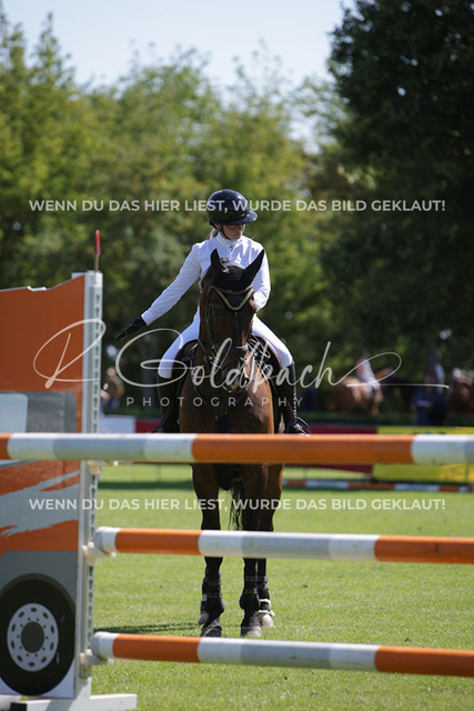 1J2A7431Anne Neumann_ Kn178_ Pokerface 40_ Sukow | Foto- und Videografie für alles rund ums Pferd. Hochwertige Bilder und Videos vom Spring- und Dressurreiten, Voltigieren & mehr. Jetzt aktuelle Veranstaltungen und Preise im Shop ansehen. - Realisiert mit Pictrs.com