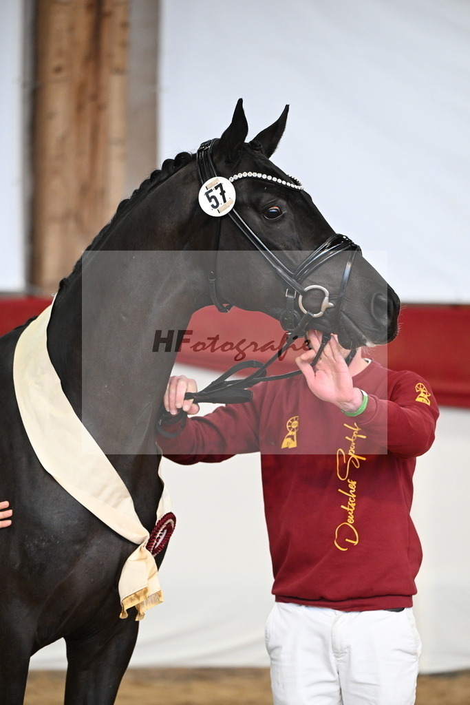 Kat.-Nr. 57 v. Feliciano_Vavrikova_3265582 | hf-fotografie - Realizzato con Pictrs.com