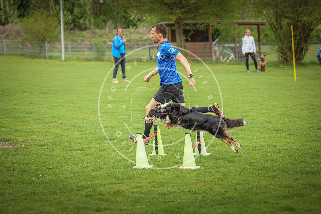 Pfotenfotografie_0L8A9374 | Hundefotografie, Tierfotograf, Pfotenfotografie, Fotoshooting Hund, Hunde Portrait, Hundesport, Hundeportraits, Heideshooting, Hunde, Sportfotograf, Hundefotograf, Turnierhundsport, THS,  - Realisiert mit Pictrs.com