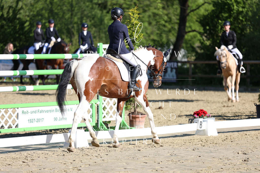 IMGT2782 | pl-fotografie